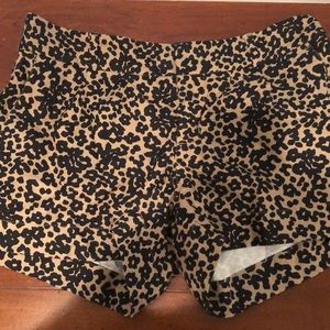 Cheetah Print Shorts